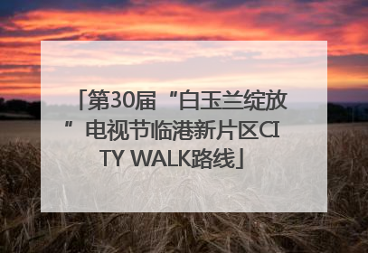 第30届“白玉兰绽放”电视节临港新片区CITY WALK路线