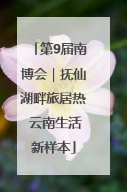 第9届南博会｜抚仙湖畔旅居热 云南生活新样本