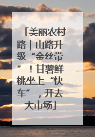 美丽农村路｜山路升级“金丝带”！甘薯鲜桃坐上“快车”，开去大市场