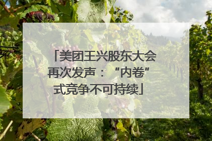 美团王兴股东大会再次发声：“内卷”式竞争不可持续