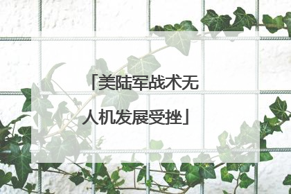 美陆军战术无人机发展受挫