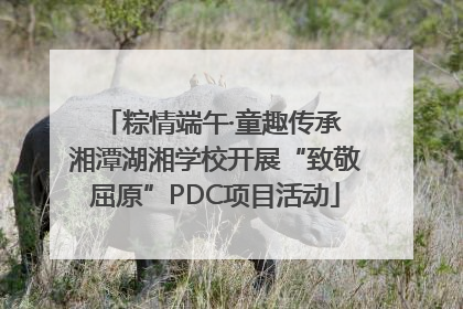 粽情端午·童趣传承 湘潭湖湘学校开展“致敬屈原”PDC项目活动