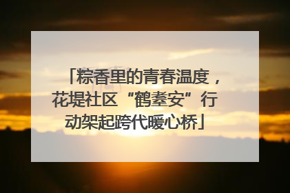 粽香里的青春温度，花堤社区“鹤耋安”行动架起跨代暖心桥