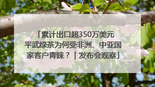 累计出口超350万美元 平武绿茶为何受非洲、中亚国家客户青睐？｜发布会观察