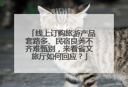 线上订购旅游产品套路多、民宿良莠不齐难甄别，来看省文旅厅如何回应？