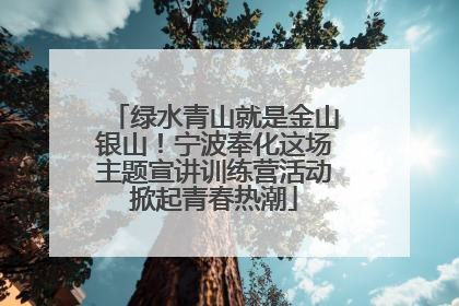 绿水青山就是金山银山！宁波奉化这场主题宣讲训练营活动掀起青春热潮