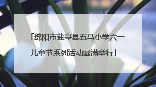绵阳市盐亭县五马小学六一儿童节系列活动圆满举行