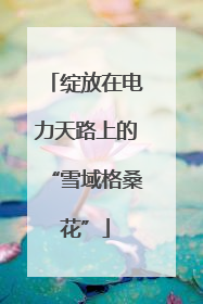 绽放在电力天路上的“雪域格桑花”