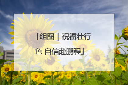 组图｜祝福壮行色 自信赴鹏程