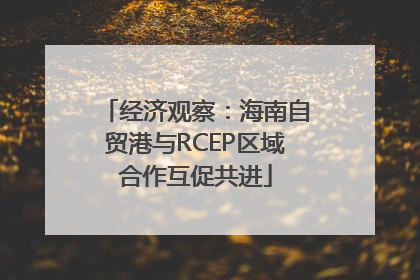 经济观察：海南自贸港与RCEP区域合作互促共进