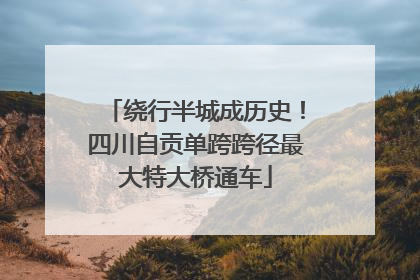 绕行半城成历史！四川自贡单跨跨径最大特大桥通车