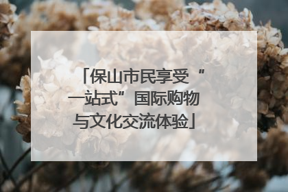 保山市民享受“一站式”国际购物与文化交流体验