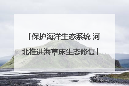 保护海洋生态系统 河北推进海草床生态修复