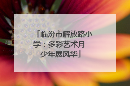 临汾市解放路小学：多彩艺术月 少年展风华