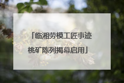临湘劳模工匠事迹桃矿陈列揭幕启用