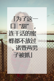 为了这一口“甜”，连干活的蜜蜂都不放过，诸暨两男子被抓