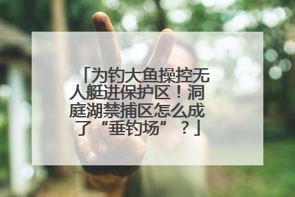 为钓大鱼操控无人艇进保护区!洞庭湖禁捕区怎么成了“垂钓场”?