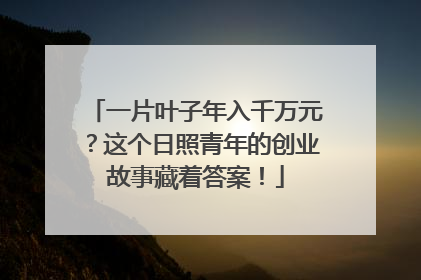 一片叶子年入千万元？这个日照青年的创业故事藏着答案！