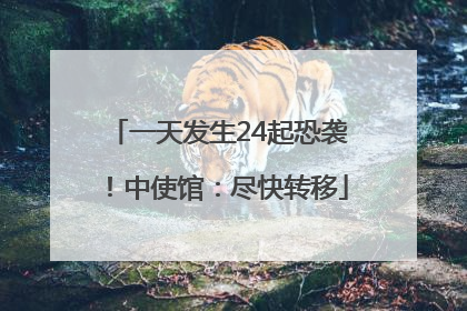 一天发生24起恐袭！中使馆：尽快转移