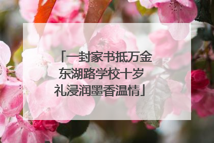 一封家书抵万金 东湖路学校十岁礼浸润墨香温情