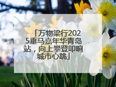 万物梁行2025垂马嘉年华青岛站，向上攀登叩响城市心跳