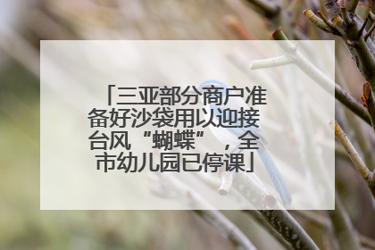 三亚部分商户准备好沙袋用以迎接台风“蝴蝶”，全市幼儿园已停课