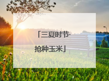 三夏时节·抢种玉米