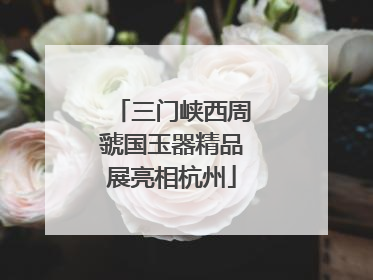 三门峡西周虢国玉器精品展亮相杭州