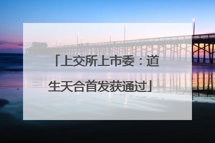 上交所上市委：道生天合首发获通过