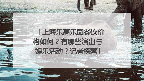 上海乐高乐园餐饮价格如何？有哪些演出与娱乐活动？记者探营