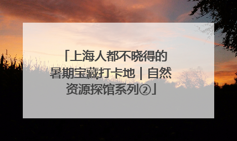 上海人都不晓得的 暑期宝藏打卡地｜自然资源探馆系列②