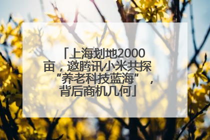 上海划地2000亩，邀腾讯小米共探“养老科技蓝海”，背后商机几何