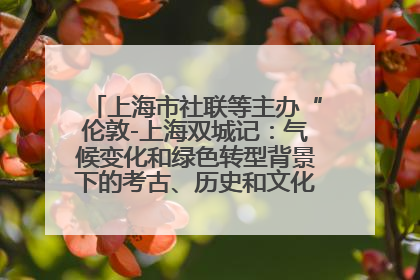 上海市社联等主办“伦敦-上海双城记：气候变化和绿色转型背景下的考古、历史和文化遗产”学术对话