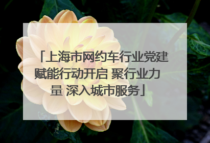 上海市网约车行业党建赋能行动开启 聚行业力量 深入城市服务