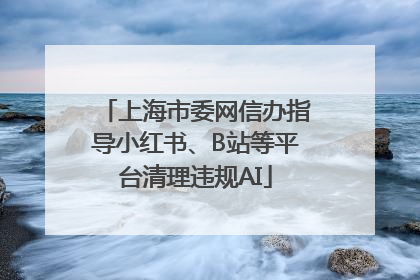 上海市委网信办指导小红书、B站等平台清理违规AI