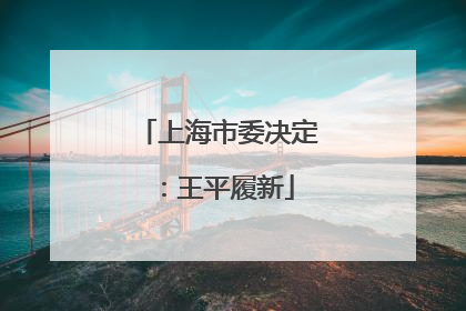 上海市委决定：王平履新