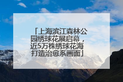 上海滨江森林公园绣球花展启幕，近5万株绣球花海打造治愈系画面