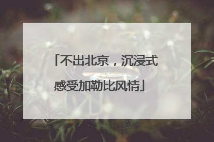 不出北京，沉浸式感受加勒比风情