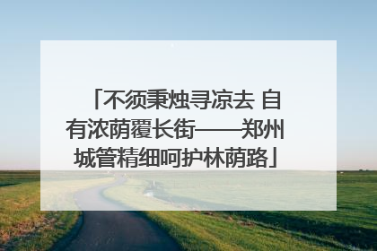 不须秉烛寻凉去 自有浓荫覆长街——郑州城管精细呵护林荫路