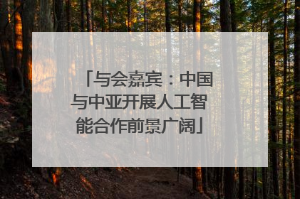与会嘉宾：中国与中亚开展人工智能合作前景广阔