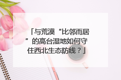 与荒漠“比邻而居”的高台湿地如何守住西北生态防线？