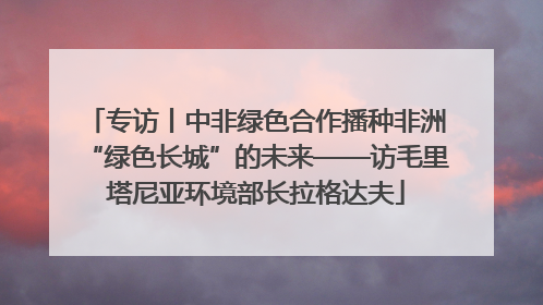 专访丨中非绿色合作播种非洲“绿色长城”的未来——访毛里塔尼亚环境部长拉格达夫