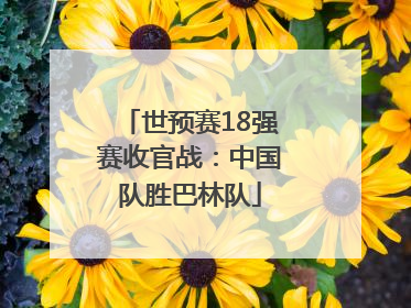 世预赛18强赛收官战：中国队胜巴林队