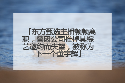 东方甄选主播顿顿离职，曾因公司推掉其综艺邀约而失望，被称为下一个董宇辉