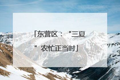 东营区：“三夏”农忙正当时