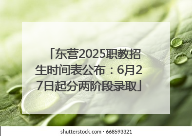 东营2025职教招生时间表公布：6月27日起分两阶段录取