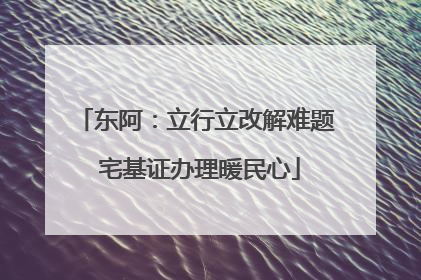 东阿：立行立改解难题 宅基证办理暖民心