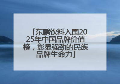 东鹏饮料入围2025年中国品牌价值榜，彰显强劲的民族品牌生命力