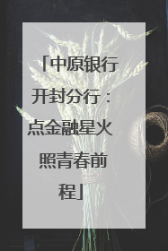 中原银行开封分行：点金融星火 照青春前程