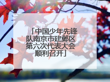 中国少年先锋队南京市建邺区第六次代表大会顺利召开